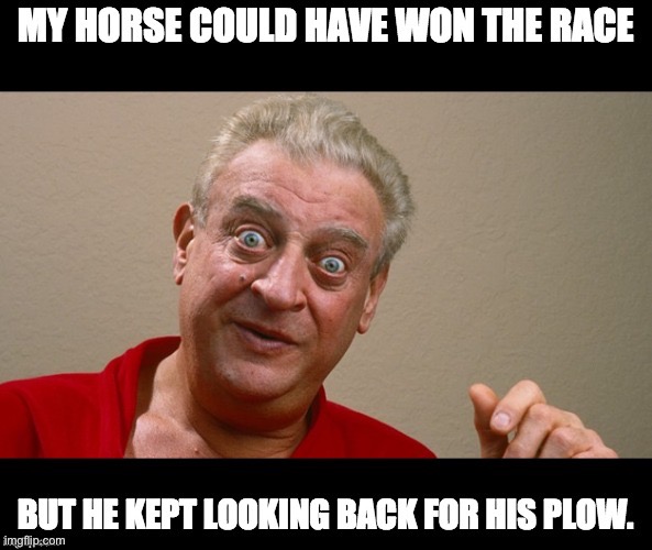 Horse | image tagged in dad joke | made w/ Imgflip meme maker