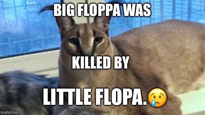Floppa sad | BIG FLOPPA WAS; KILLED BY; LITTLE FLOPA.😢 | image tagged in floppa,sad | made w/ Imgflip meme maker