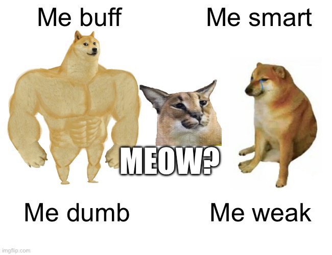 Floppa dog VS | Me buff; Me smart; MEOW? Me dumb; Me weak | image tagged in memes,buff doge vs cheems,floppa | made w/ Imgflip meme maker