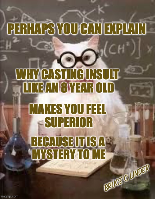Smart Cat | PERHAPS YOU CAN EXPLAIN; WHY CASTING INSULT 
LIKE AN 8 YEAR OLD; MAKES YOU FEEL 
SUPERIOR; BECAUSE IT IS A 
MYSTERY TO ME; BRUCE C LINDER | image tagged in smart cat,engaging,fun,rude,social media | made w/ Imgflip meme maker