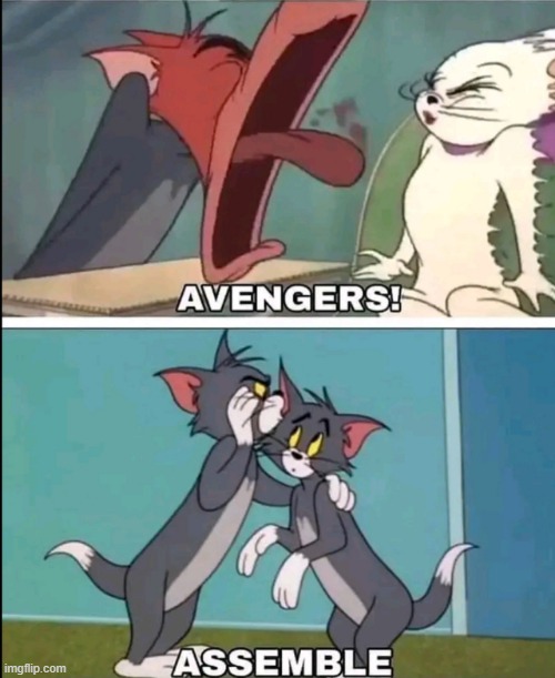 It Was Kinda Like That | image tagged in avengers | made w/ Imgflip meme maker