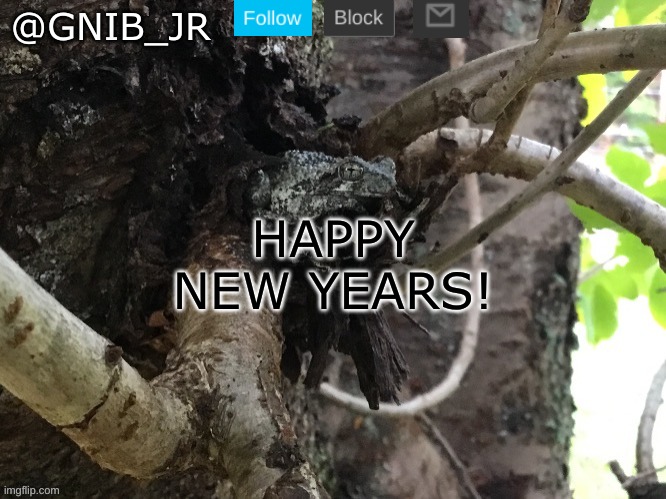 Happy new years | HAPPY NEW YEARS! | image tagged in gnib_jr's main template,new years,happy,happy new year | made w/ Imgflip meme maker