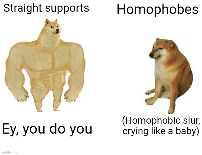 Need I say more? | Straight supports; Homophobes; (Homophobic slur, crying like a baby); Ey, you do you | image tagged in memes,buff doge vs cheems | made w/ Imgflip meme maker