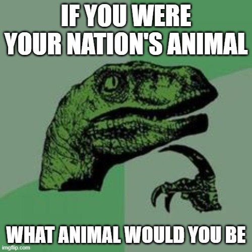 lets find out | IF YOU WERE YOUR NATION'S ANIMAL; WHAT ANIMAL WOULD YOU BE | image tagged in time raptor,animal,international,chaos | made w/ Imgflip meme maker