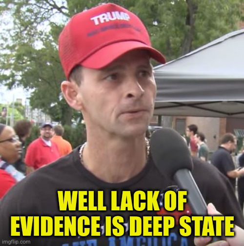 Trump supporter | WELL LACK OF EVIDENCE IS DEEP STATE | image tagged in trump supporter | made w/ Imgflip meme maker
