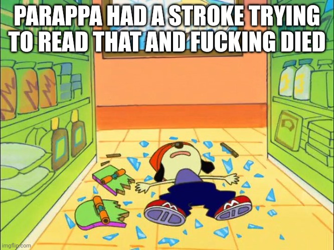 PaRappa on the floor | PARAPPA HAD A STROKE TRYING TO READ THAT AND FUCKING DIED | image tagged in parappa on the floor | made w/ Imgflip meme maker