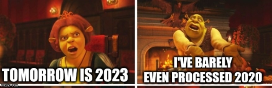 Time is going by too fast | TOMORROW IS 2023; I'VE BARELY EVEN PROCESSED 2020 | image tagged in memes,funny,shrek,fiona | made w/ Imgflip meme maker
