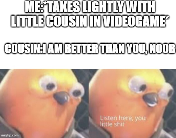 toxic cousin | ME:*TAKES LIGHTLY WITH LITTLE COUSIN IN VIDEOGAME*; COUSIN:I AM BETTER THAN YOU, NOOB | image tagged in listen here you little shit bird | made w/ Imgflip meme maker