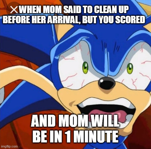 mom will be in 1 minute | WHEN MOM SAID TO CLEAN UP BEFORE HER ARRIVAL, BUT YOU SCORED; AND MOM WILL BE IN 1 MINUTE | image tagged in crazy sonic | made w/ Imgflip meme maker