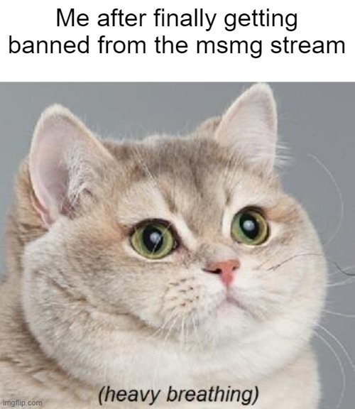 Frick the MSMG | Me after finally getting banned from the msmg stream | image tagged in memes,heavy breathing cat | made w/ Imgflip meme maker