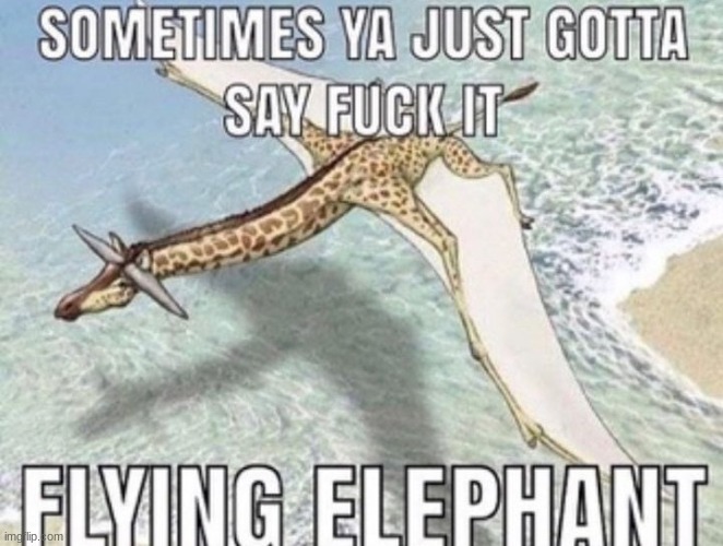 that elephant kinda looks like a crab bro | made w/ Imgflip meme maker