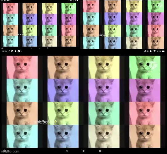 Every 1 cat = 500 Russian soldiers die in Ukraine | made w/ Imgflip meme maker