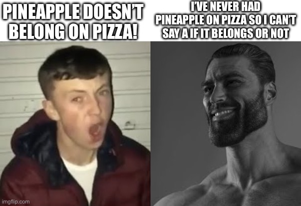 Average Enjoyer meme |  PINEAPPLE DOESN’T BELONG ON PIZZA! I’VE NEVER HAD PINEAPPLE ON PIZZA SO I CAN’T SAY A IF IT BELONGS OR NOT | image tagged in average enjoyer meme | made w/ Imgflip meme maker