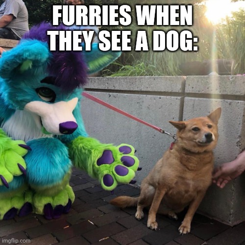 Dog afraid of furry | FURRIES WHEN THEY SEE A DOG: | image tagged in dog afraid of furry | made w/ Imgflip meme maker