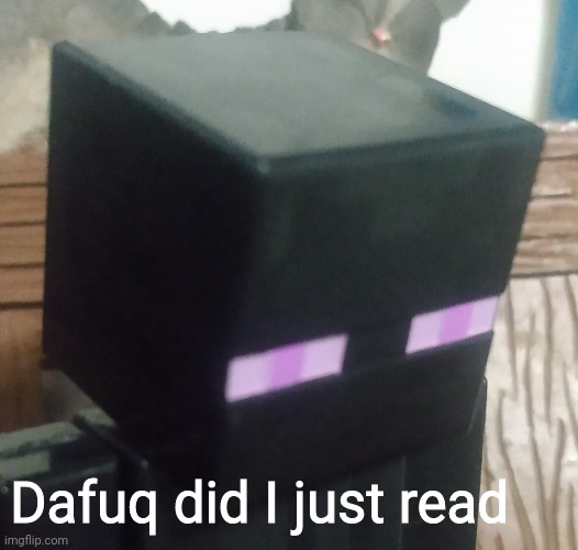 Enderman stare | Dafuq did I just read | image tagged in enderman stare | made w/ Imgflip meme maker