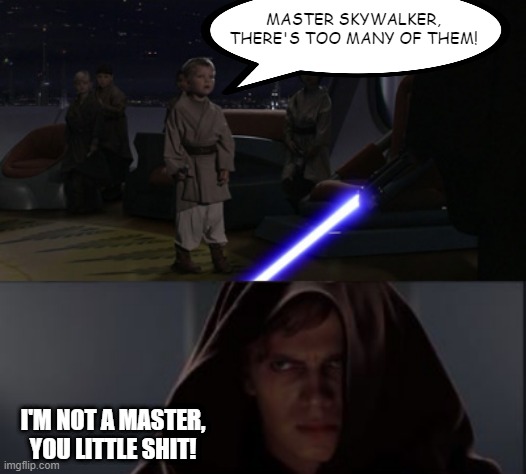 Ever Notice? | MASTER SKYWALKER, THERE'S TOO MANY OF THEM! I'M NOT A MASTER, YOU LITTLE SHIT! | image tagged in anakin kills younglings,star wars anikin kill younglings | made w/ Imgflip meme maker
