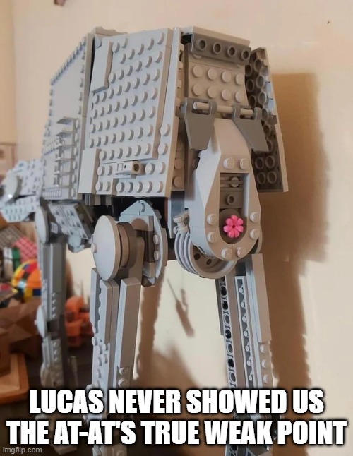 The Hole | LUCAS NEVER SHOWED US THE AT-AT'S TRUE WEAK POINT | image tagged in at at | made w/ Imgflip meme maker