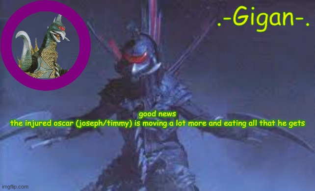 kjh | good news
the injured oscar (joseph/timmy) is moving a lot more and eating all that he gets | made w/ Imgflip meme maker