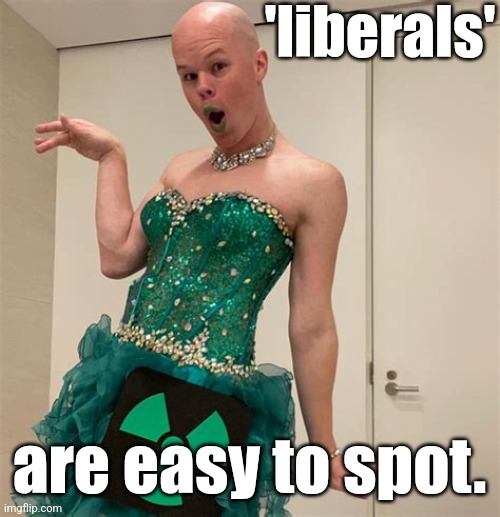 Sam Brinton | 'liberals' are easy to spot. | image tagged in sam brinton | made w/ Imgflip meme maker