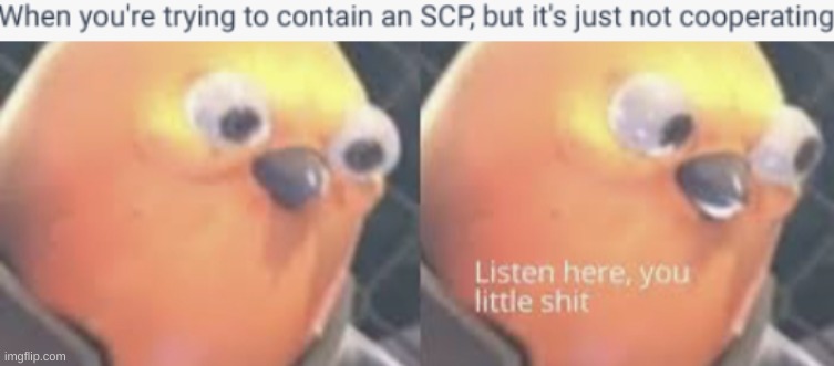 I used an AI chat bot to make the caption lol | image tagged in listen here you little shit bird,ai chatbot | made w/ Imgflip meme maker