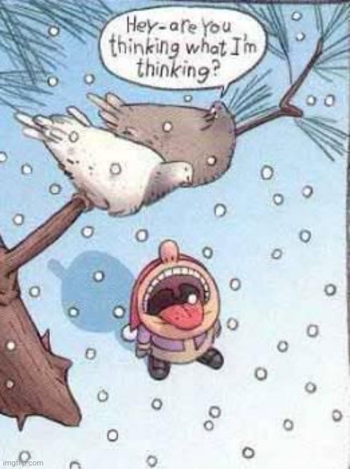 DO IT | image tagged in snow,birds,comics/cartoons | made w/ Imgflip meme maker