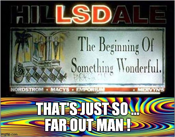 Tempted To Go To Hillsdale ? | THAT'S JUST SO ...
FAR OUT MAN ! | image tagged in lsd,far out,trippy | made w/ Imgflip meme maker