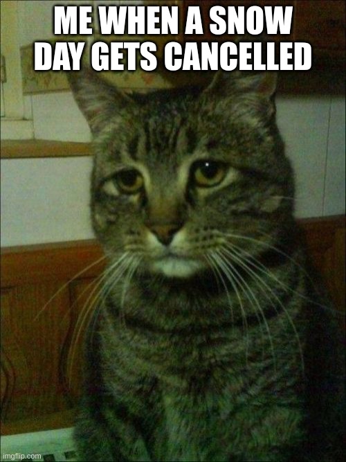 Depressed Cat | ME WHEN A SNOW DAY GETS CANCELLED | image tagged in memes,depressed cat,snow day,school | made w/ Imgflip meme maker