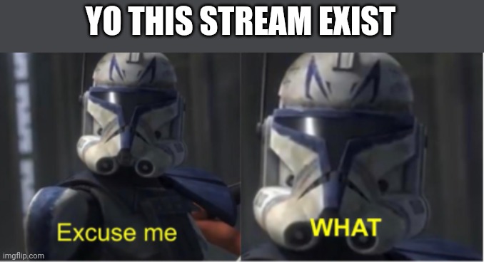 Excuse me what | YO THIS STREAM EXIST | image tagged in excuse me what | made w/ Imgflip meme maker