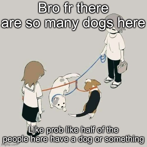Avogado6 | Bro fr there are so many dogs here; Like prob like half of the people here have a dog or something | image tagged in avogado6 | made w/ Imgflip meme maker