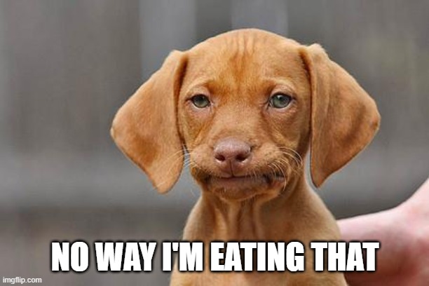 Dissapointed puppy | NO WAY I'M EATING THAT | image tagged in dissapointed puppy | made w/ Imgflip meme maker