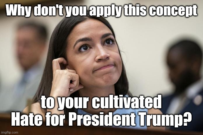 aoc Scratches her empty head | Why don't you apply this concept to your cultivated Hate for President Trump? | image tagged in aoc scratches her empty head | made w/ Imgflip meme maker