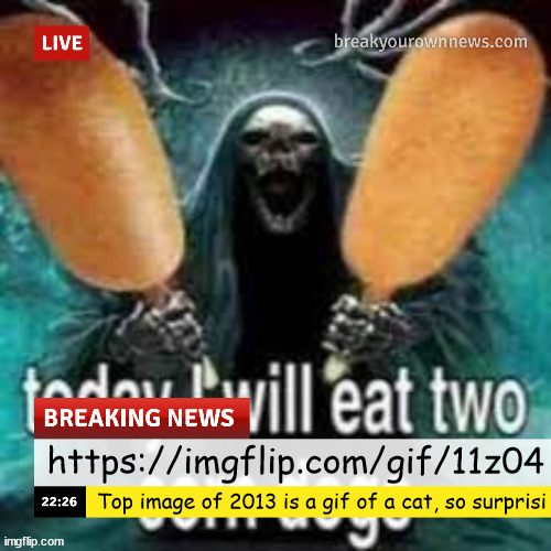 MSMG News(Corn Dogs) | https://imgflip.com/gif/11z04; Top image of 2013 is a gif of a cat, so surprisi | image tagged in msmg news corn dogs | made w/ Imgflip meme maker