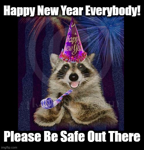 What Does This 2023 Year Hold For Us? | Happy New Year Everybody! Please Be Safe Out There | image tagged in 2023,new year 2023,happy new year,raccoon meme | made w/ Imgflip meme maker