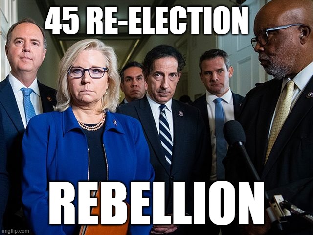 By definition criteria, history will record it was a Rebellion |  45 RE-ELECTION; REBELLION | image tagged in j6 committee,adam schiff,dick cheney,joe biden worries,nevertrump,rudy giuliani | made w/ Imgflip meme maker