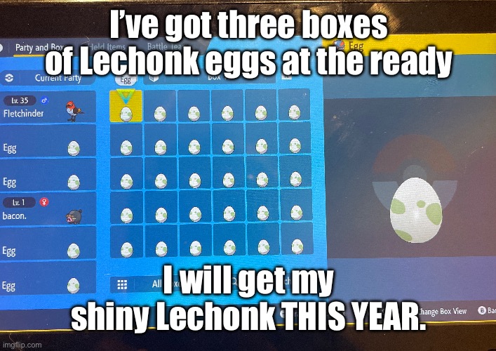 Where I am, I have twelve hours until 2023. So I’m signing off of imgflip for today so I can HUNT | I’ve got three boxes of Lechonk eggs at the ready; I will get my shiny Lechonk THIS YEAR. | image tagged in image tags | made w/ Imgflip meme maker