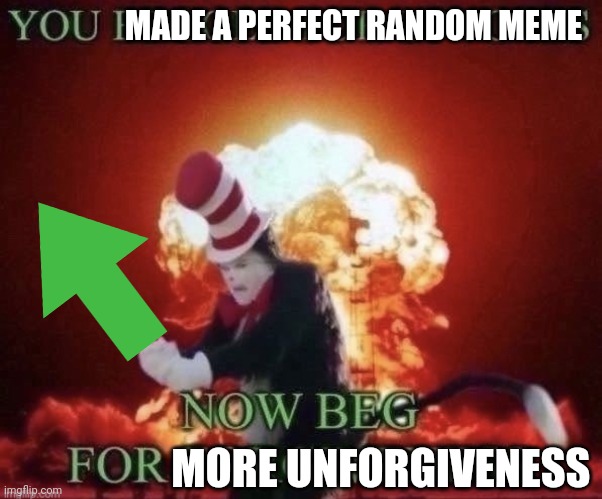 Beg for forgiveness | MADE A PERFECT RANDOM MEME MORE UNFORGIVENESS | image tagged in beg for forgiveness | made w/ Imgflip meme maker