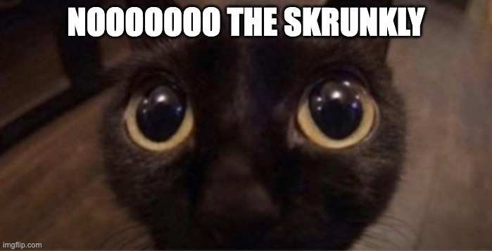 Skrunkly | NOOOOOOO THE SKRUNKLY | image tagged in skrunkly | made w/ Imgflip meme maker