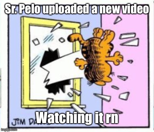 Garfield gets thrown out of a window | Sr. Pelo uploaded a new video; Watching it rn | image tagged in garfield gets thrown out of a window | made w/ Imgflip meme maker