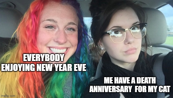 My Sister And I Are Polar Opposites | EVERYBODY ENJOYING NEW YEAR EVE; ME HAVE A DEATH ANNIVERSARY  FOR MY CAT | image tagged in my sister and i are polar opposites,rip,cat | made w/ Imgflip meme maker