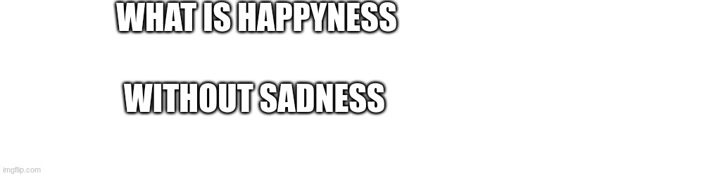 WHAT IS HAPPYNESS WITHOUT SADNESS | made w/ Imgflip meme maker