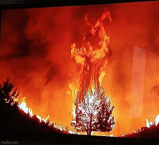 Someone was doing a controlled fire burn and they found Satan himself | image tagged in satan | made w/ Imgflip meme maker