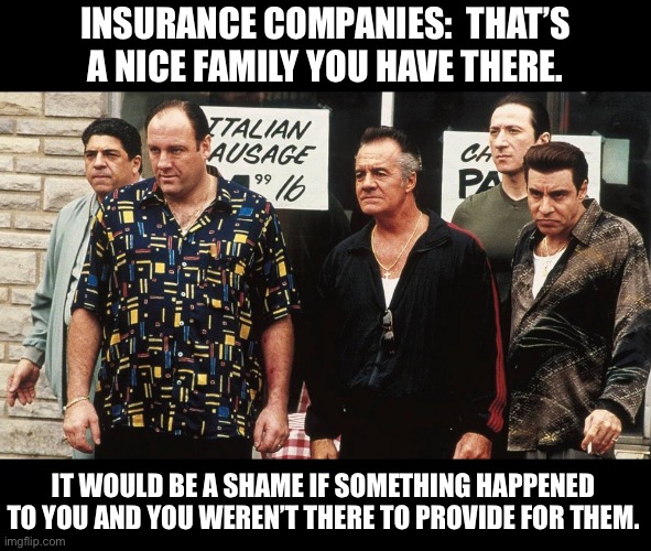 Insurance | INSURANCE COMPANIES:  THAT’S A NICE FAMILY YOU HAVE THERE. IT WOULD BE A SHAME IF SOMETHING HAPPENED TO YOU AND YOU WEREN’T THERE TO PROVIDE FOR THEM. | image tagged in sopranos | made w/ Imgflip meme maker