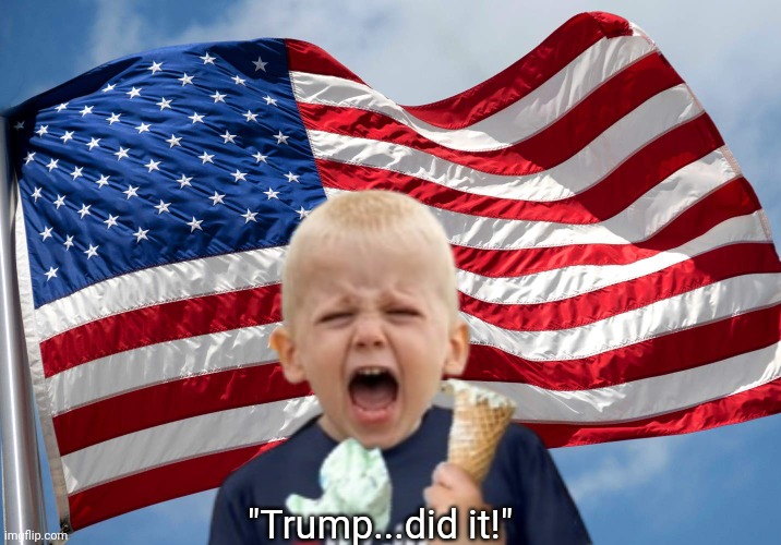"Trump...did it!" | made w/ Imgflip meme maker