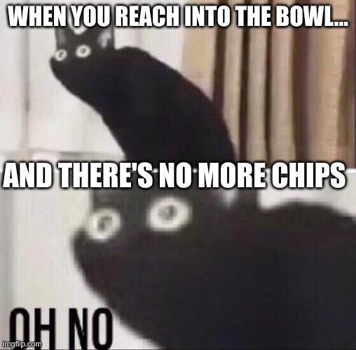 Oh no cat | WHEN YOU REACH INTO THE BOWL... AND THERE'S NO MORE CHIPS | image tagged in oh no cat | made w/ Imgflip meme maker