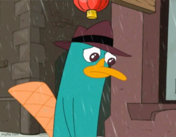 sad perry | image tagged in sad perry | made w/ Imgflip meme maker