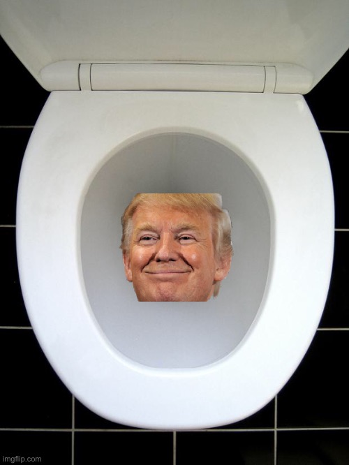 TOILET | image tagged in toilet | made w/ Imgflip meme maker