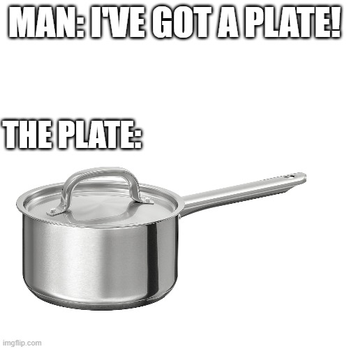 MAN: I'VE GOT A PLATE! THE PLATE: | image tagged in male,man,plate,saucepan,men vs women,men | made w/ Imgflip meme maker