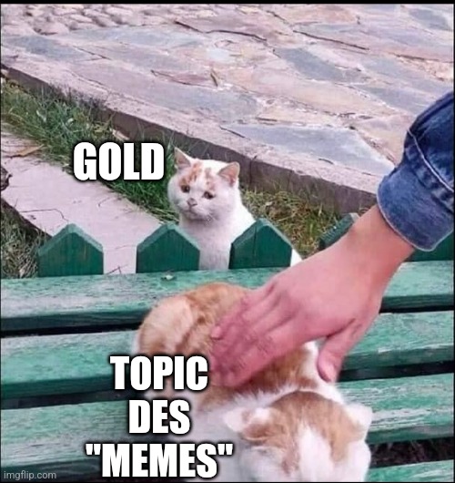Jealous Cat | GOLD; TOPIC
DES
"MEMES" | image tagged in jealous cat | made w/ Imgflip meme maker