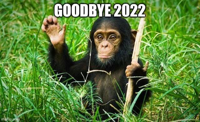 Final meme for 2022 | GOODBYE 2022 | image tagged in goodbye,2022,happy new year | made w/ Imgflip meme maker