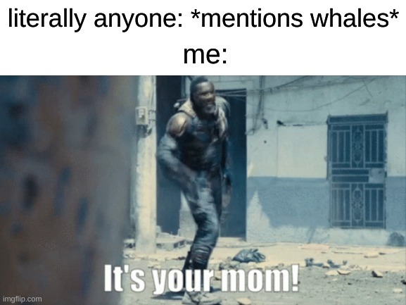 i still do this | literally anyone: *mentions whales*; me: | image tagged in it's your mom,memes | made w/ Imgflip meme maker